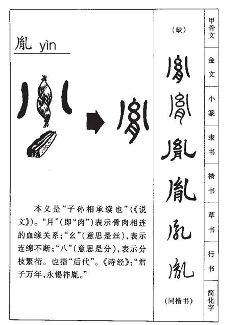 胤名字|胤字起名寓意、胤字五行和姓名学含义